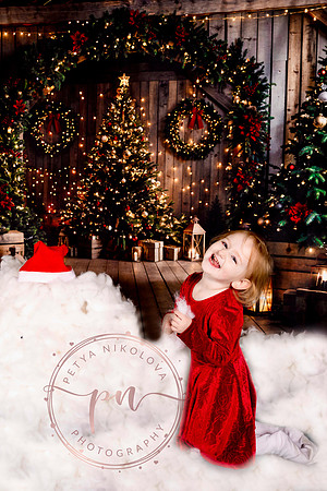 nikolovaphotography-31