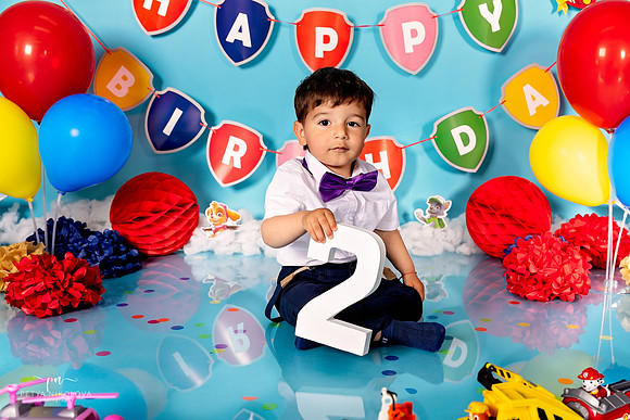 paw patrol studio photography woodford green essex