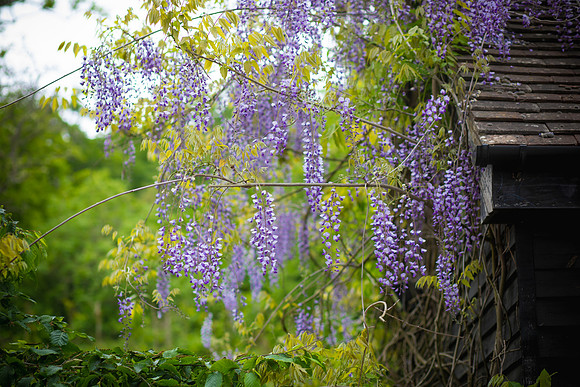 petyanikolovaphotography-21