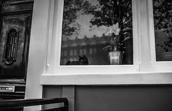 petyanikolovaphotography-43
