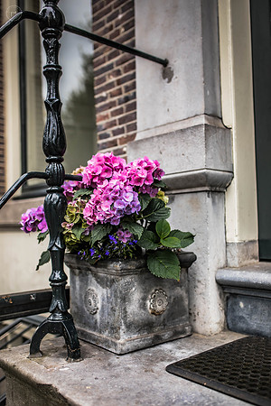 petyanikolovaphotography-47