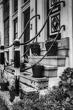 petyanikolovaphotography-49