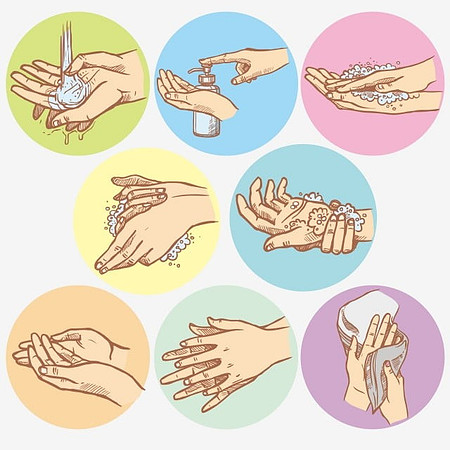 pngtree-hands-washing-step-png-image_2160363