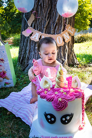 outdoor family photos cake smash
