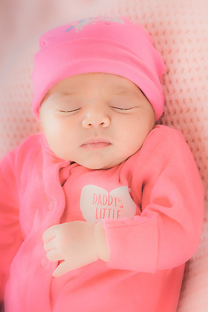 nikolovaphotography-2