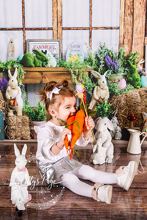 nikolovaphotography-15