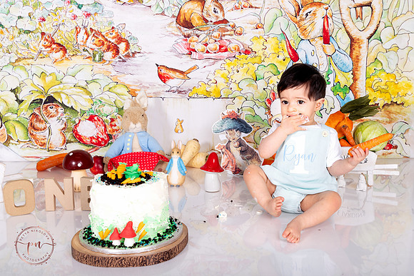 peter rabbit cake smash photography london custom sessions