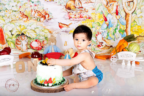 peter rabbit cake smash portraiture london woodford