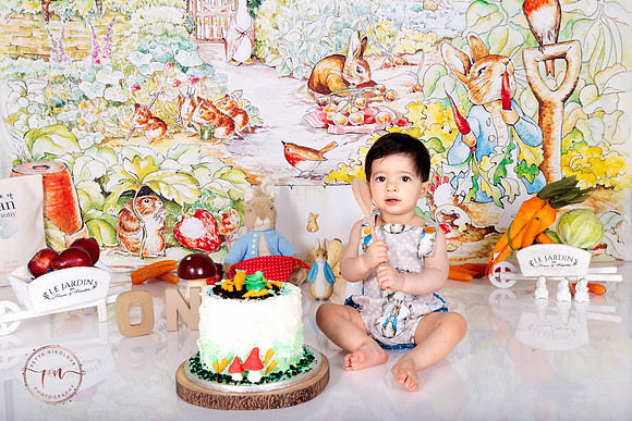 peter rabbit cake smash images kids photography family photography