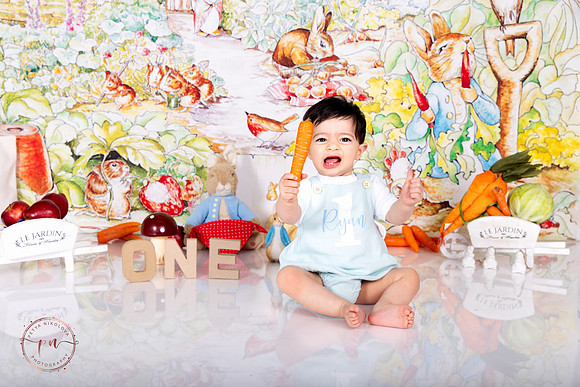 peter rabbit cake smash photo time family photos kids photos studio portraits