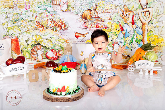 peter rabbit cake smash theme children photographer woodford essex