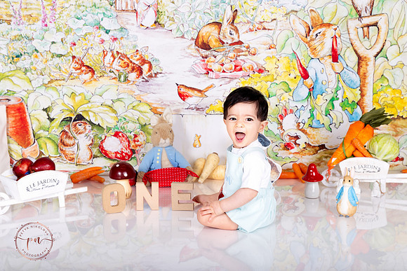 peter rabbit cake smash photography